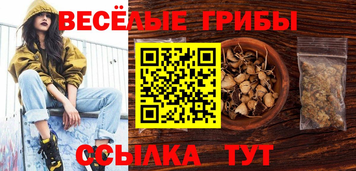 Галлюциногенные грибы Psilocybe Учалы